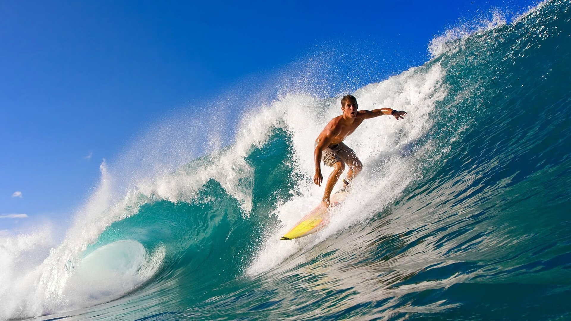 室内跳伞挑战赛:挑战引力的极限,室内跳伞设备多少钱